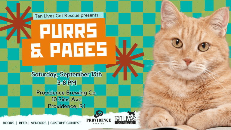 A 10Th Life Cat Rescue