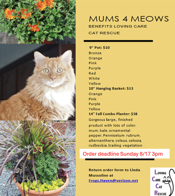 A Loving Care Cat Rescue