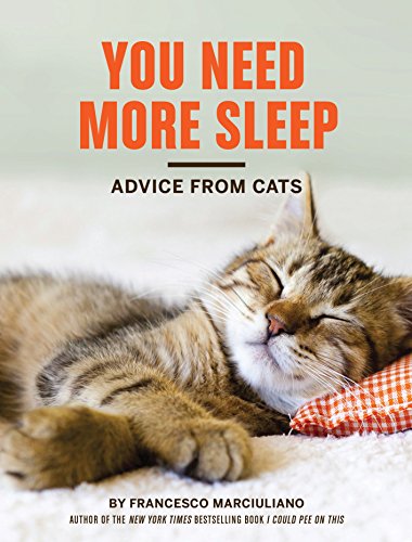 Advice from a Cat