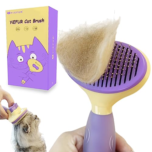 Affordable Cat Grooming