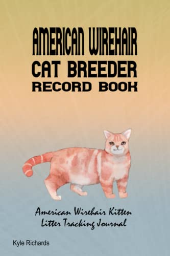 American Wirehair Kittens for Sale