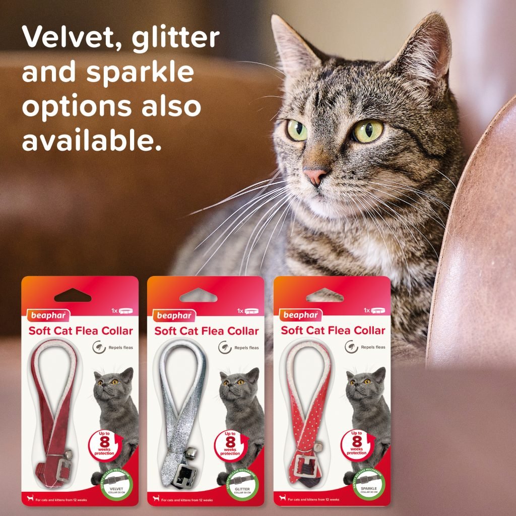 Photo inspiration: Visual Reference: Are Flea Collars Safe For Cats Essential Facts Every Owner