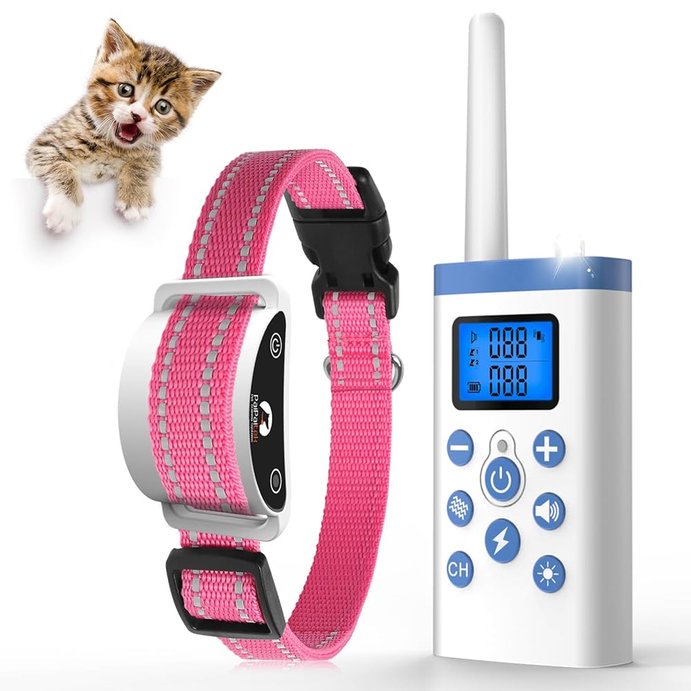 Are There Shock Collars for Cats