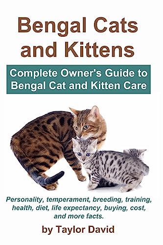 Bengal Cat Breeder San Diego
