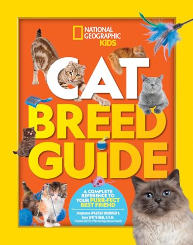 Best Cat Breeds for Kids