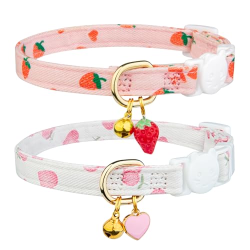 Best Cat Collars for Indoor Cats
