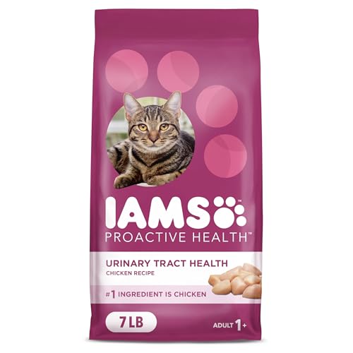 Best Cat Food Urinary Health