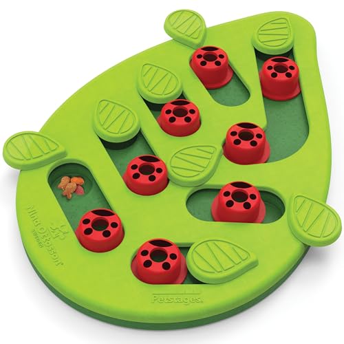 Best Cat Puzzle Toys