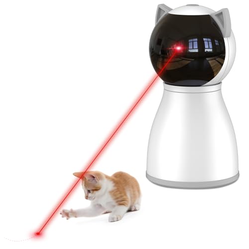 Best Cat Stimulation Toys