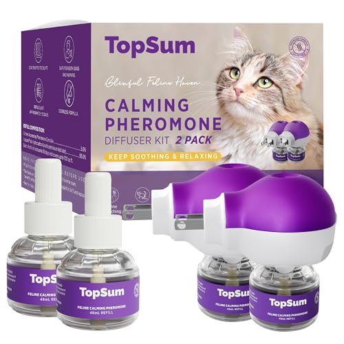 Best Cats to Own