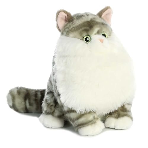 Best Cuddly Cat Breeds