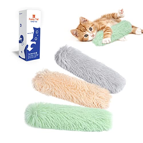 Best Kitten Toys for Indoor Cats