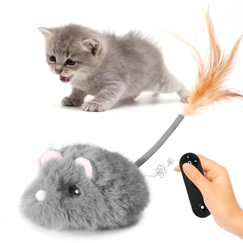 Best Remote Control Cat Toys