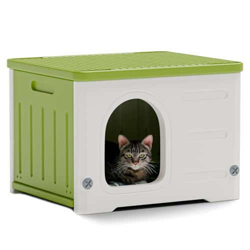 Big Cat House Pet