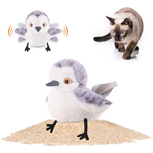 Bird Cat Toy