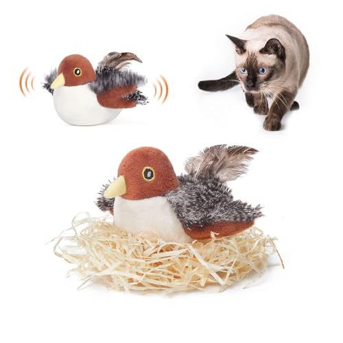 Bird Toy Cats