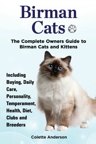 Birman Cat Breeder