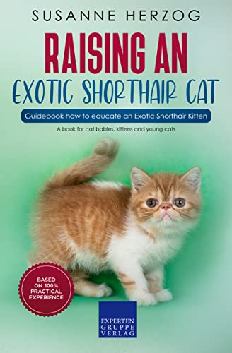 Breeding Exotic Shorthair Cats