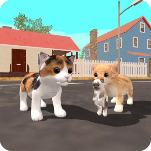 Buy Cat Online