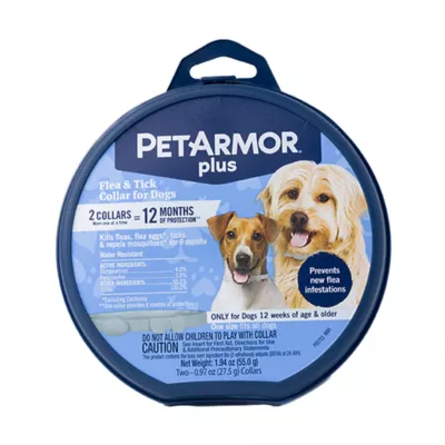 Can Dogs Wear Cat Flea Collars