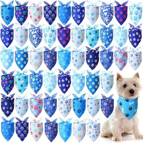 Cat Adoption Event near Me