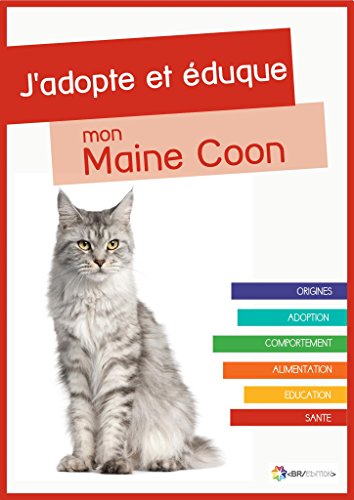Cat Adoption in Maine