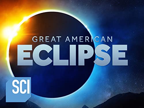 Cat Adoption Louisville