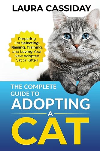 Cat Adoption Orlando