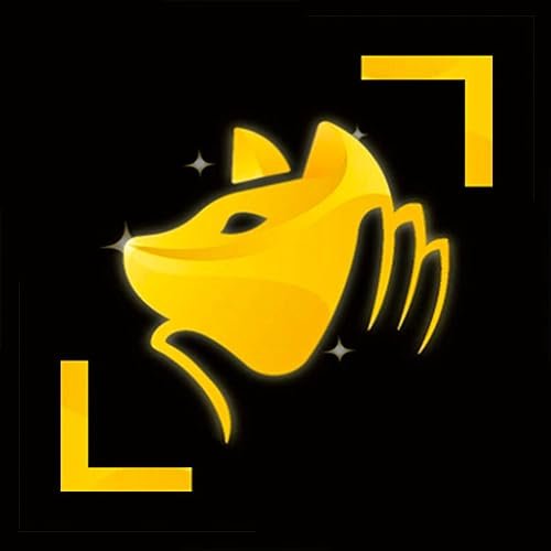 Cat Breed App