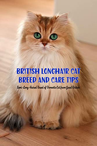 Cat Breeds British Longhair