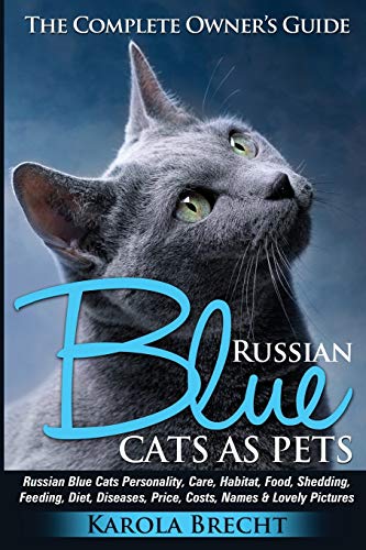 Cat Breeds Russian