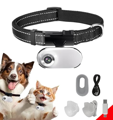 Cat Camera Collars
