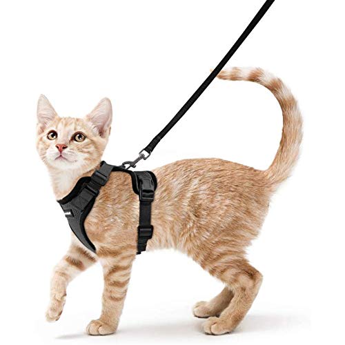 Cat Clothes Shop