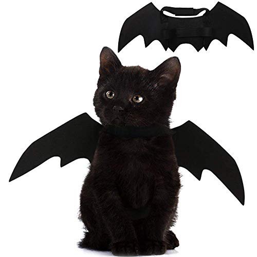 Cat Clothing Accessories