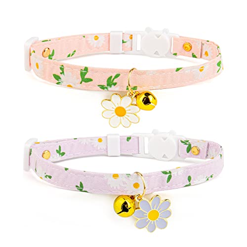 Cat Collars for Females