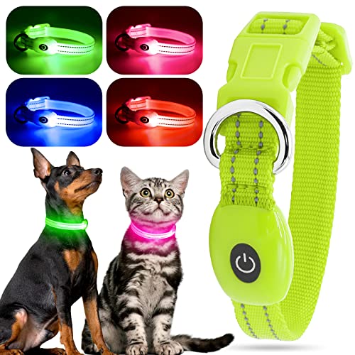 Cat Collars That Light Up