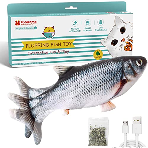 Cat Fish Toy