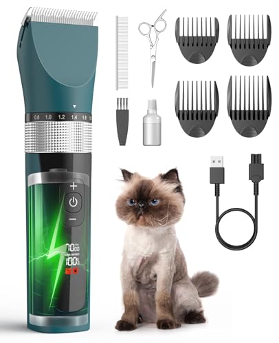 Cat Grooming Knoxville