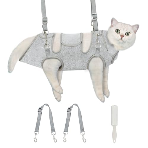 Cat Grooming Nashville