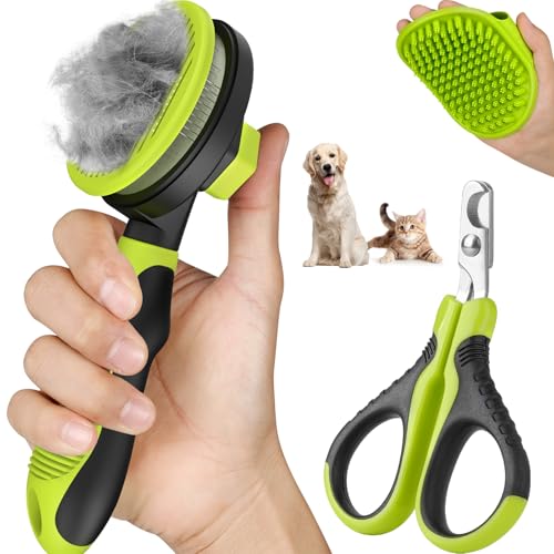 Cat Grooming Omaha Ne