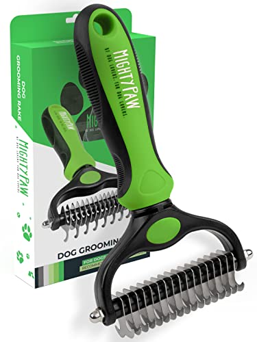 Cat Grooming Rochester Ny
