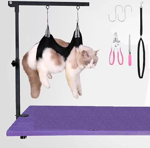Cat Grooming Salon