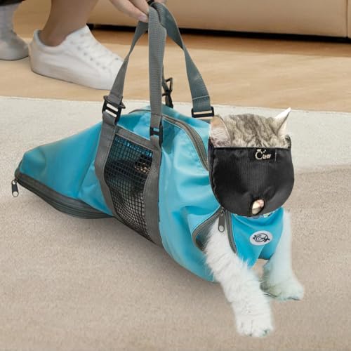 Cat Grooming Seattle Wa