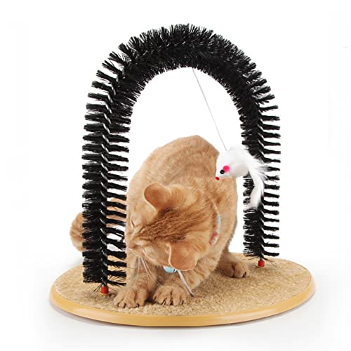 Cat Grooming St Louis Mo