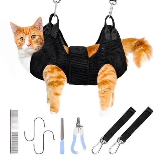Cat Grooming Tacoma