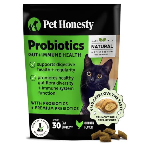 Cat Gut Health Supplements