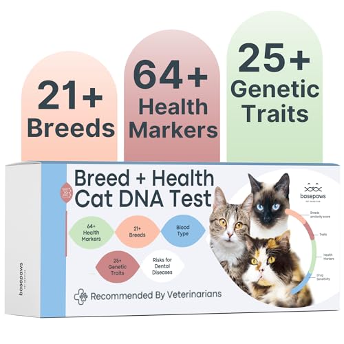 Cat Health Test
