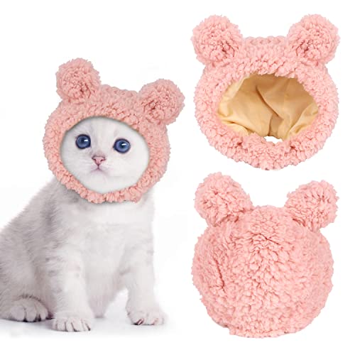 Cat in Winter Clothes