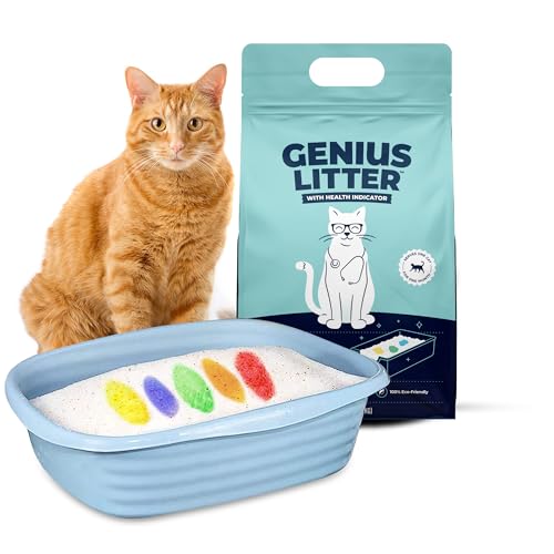 Cat Litter That Detects Health Issues