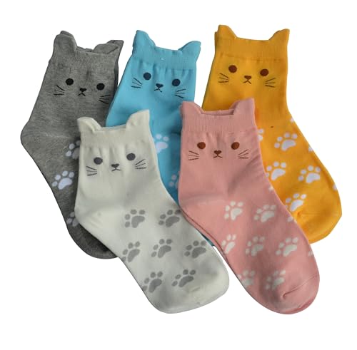 Cat on Socks